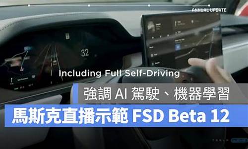 特斯拉fsd技术受益股_特斯拉股票 sf