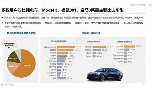 特斯拉客户需求_特斯拉用户画像分析