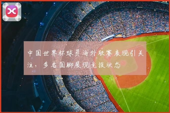 中国世界杯球员海外联赛表现引关注，多名国脚展现竞技状态
