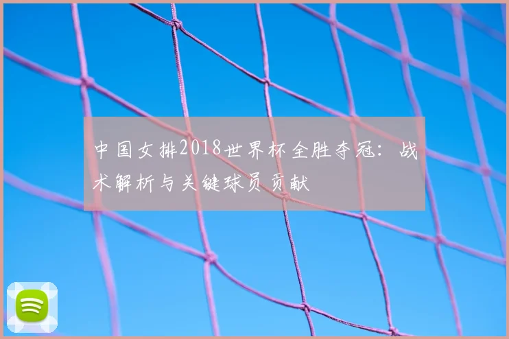 中国女排2018世界杯全胜夺冠：战术解析与关键球员贡献