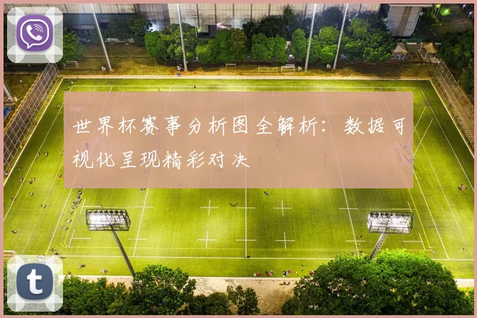 世界杯赛事分析图全解析：数据可视化呈现精彩对决