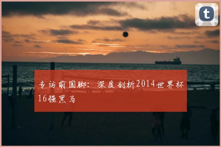 专访前国脚:深度剖析2014世界杯16强黑马
