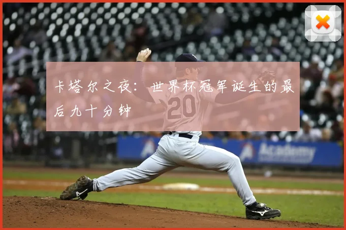 卡塔尔之夜:世界杯冠军诞生的最后九十分钟