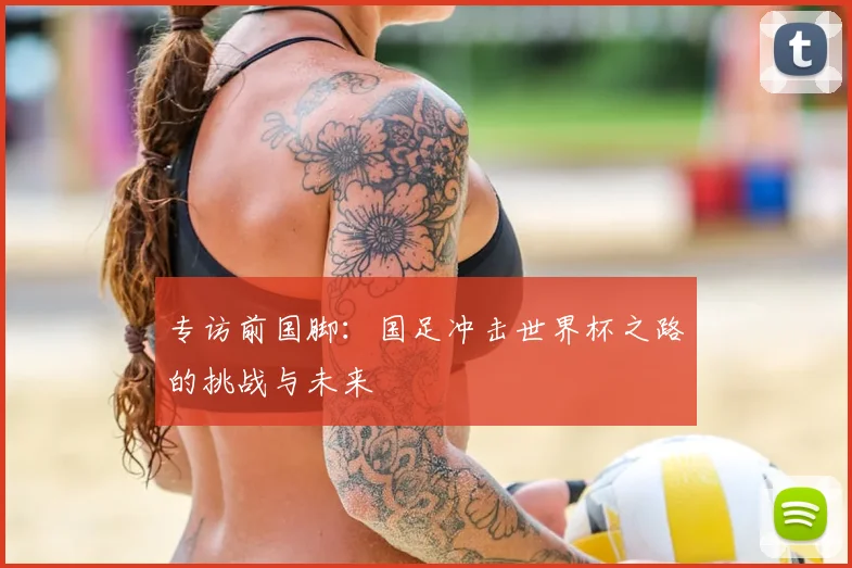 专访前国脚:国足冲击世界杯之路的挑战与未来