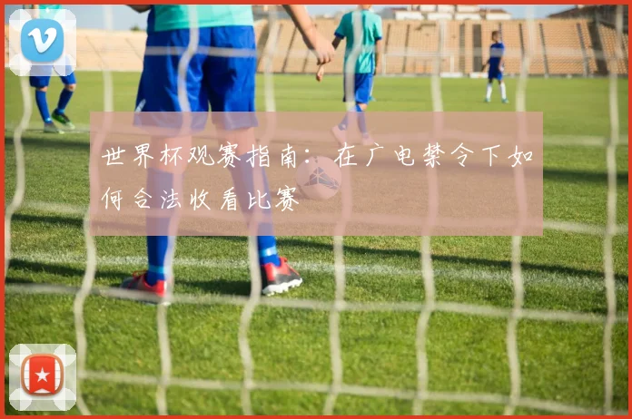 世界杯观赛指南：在广电禁令下如何合法收看比赛
