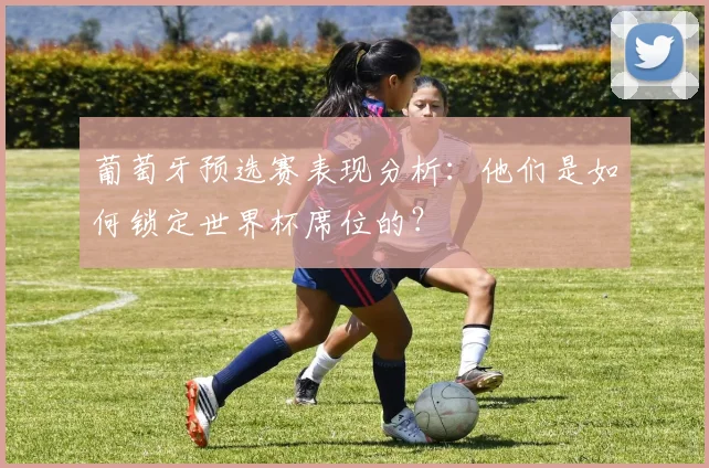 葡萄牙预选赛表现分析：他们是如何锁定世界杯席位的？