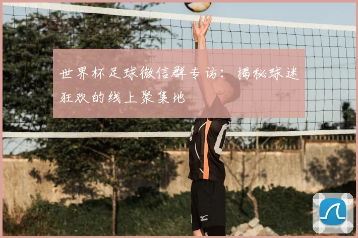 世界杯足球微信群专访：揭秘球迷狂欢的线上聚集地