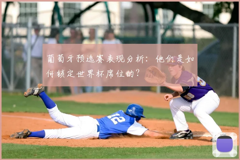 葡萄牙预选赛表现分析：他们是如何锁定世界杯席位的？