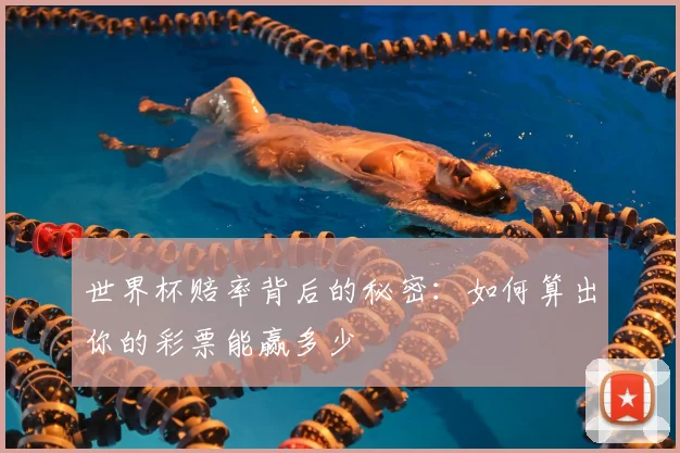 世界杯赔率背后的秘密:如何算出你的彩票能赢多少