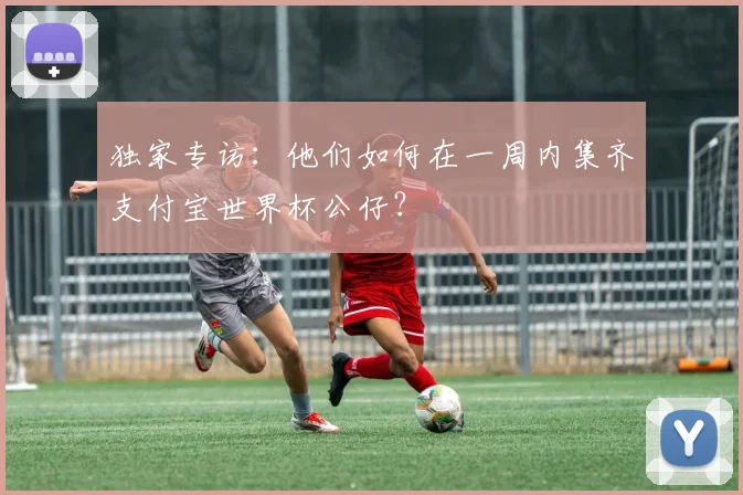 独家专访：他们如何在一周内集齐支付宝世界杯公仔？