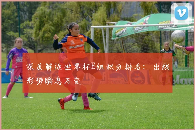 深度解读世界杯E组积分排名：出线形势瞬息万变