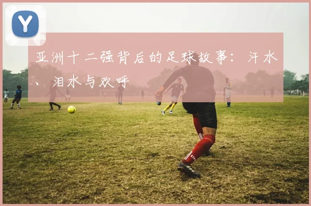 亚洲十二强背后的足球故事：汗水、泪水与欢呼