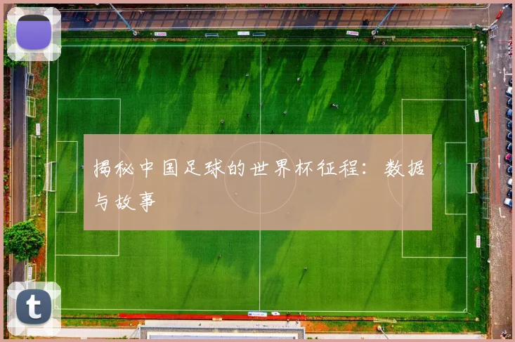 揭秘中国足球的世界杯征程：数据与故事