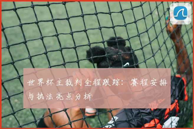 世界杯主裁判全程跟踪：赛程安排与执法亮点分析