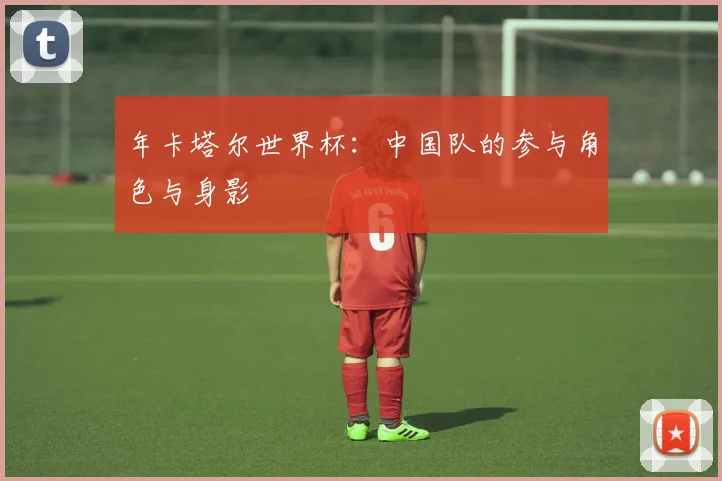年卡塔尔世界杯：中国队的参与角色与身影