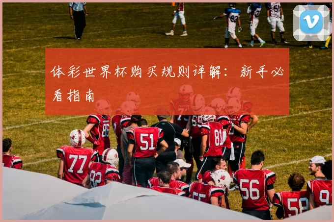 体彩世界杯购买规则详解：新手必看指南