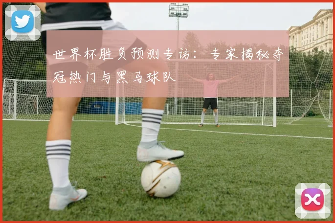 世界杯胜负预测专访：专家揭秘夺冠热门与黑马球队