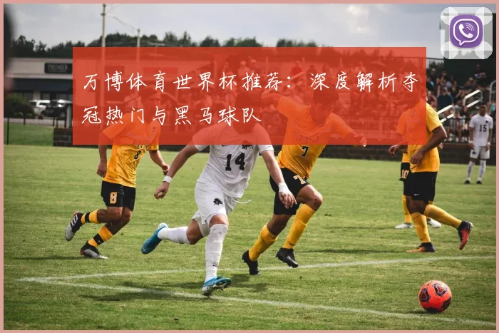 万博体育世界杯推荐：深度解析夺冠热门与黑马球队